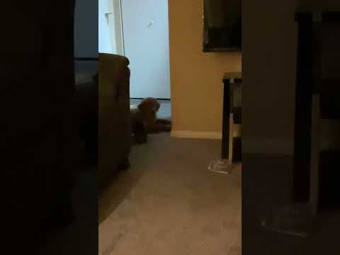 He is soo jealous he don’t￼ wanna talk to me 🤣🤣