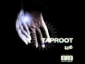 taproot - I