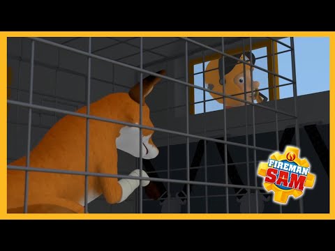 Fixing a Fox's leg 🔥 Fireman Sam Season 12 Episodes