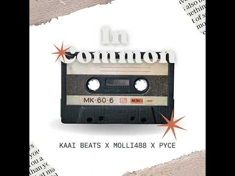 In Common (Amapiano Remix)