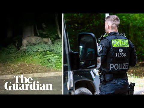 Berlin police launch search after suspected lion spotted on the loose
