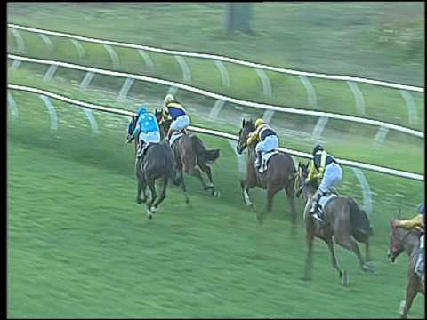 Galoppo 10/08/2016 - 3° corsa