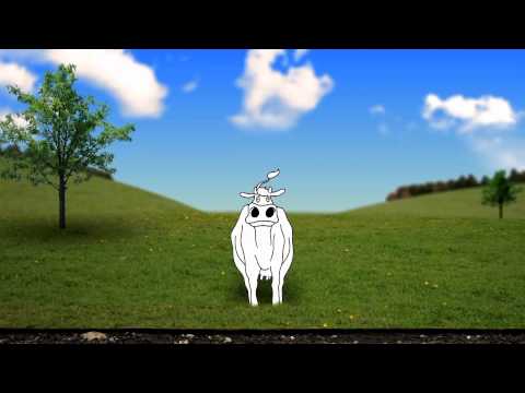 The Cow That Endeavoured to Look for Her Spots