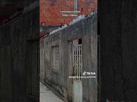 #Tinaco #Cojedes / Comunidad #LaFlorida / Historia de mi Pueblo  #ModosDeVida
