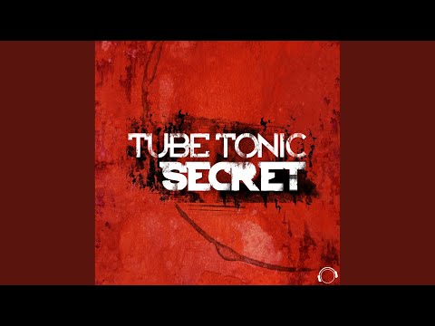 Secret (DJ Space Raven Remix)