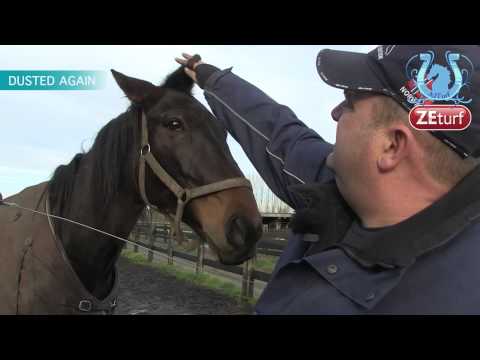 Tour de cour chez Lieven DE GROOTE (Part 2)