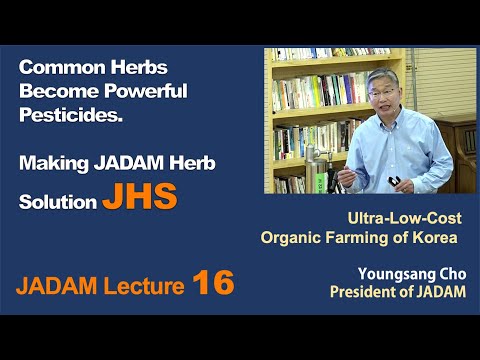 , title : 'JADAM Lecture Part 16. Common Herbs Become Powerful Pesticides. Making JADAM Herb Solution JHS.'