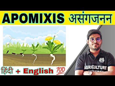 defination allopolyploid allopolyploid kya hai allopolyploid in hindi what is allopolyploid