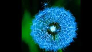 Sonny Landreth- "Soldier of Fortune" (1992)