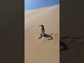When She Says I Fell For You Namibia Desert Sand Walkthrough Robotics Africa Walking