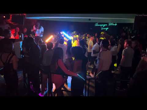 MICOLO IN ZEBRA LEIPZIG