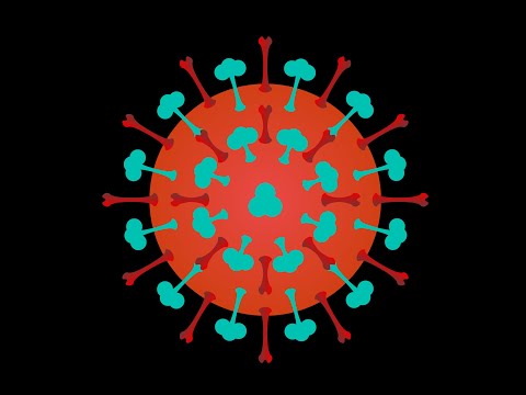 Ruperts Kitchen Orchestra - Kein Scherz - The Album Release Movie