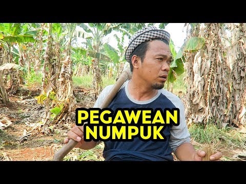 pegawean-numpuk