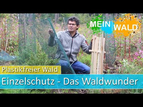 Plastikfreier Wald - Alternative zum Einzelschutz: Das WALDWUNDER