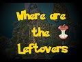 Where Are: The Leftovers (Pokemon Diamond/Pearl/Platinum)