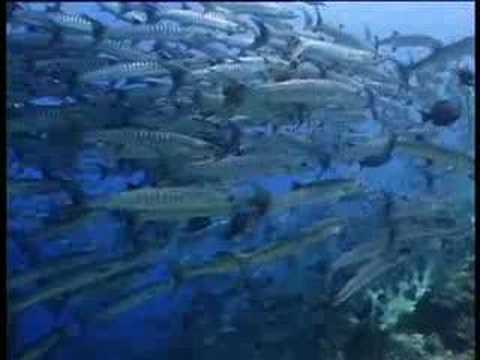 Sabah Malaysian Borneo