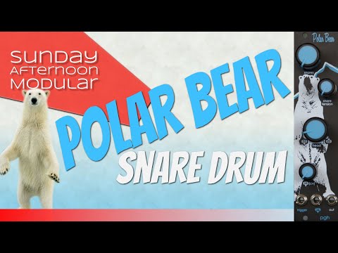 PITTSBURGH MODULAR POLAR BEAR - snare drum module with a twist