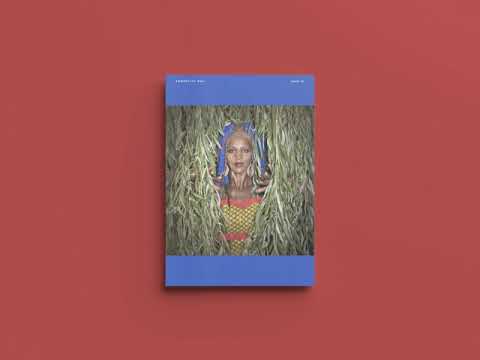 Mo'kalamity meets Sly and Robbie - Throw Down Your Guns