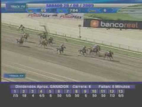 Resumen 29 de Agosto 2009 - La Rinconada