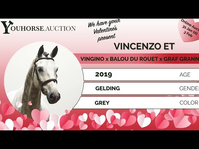 Vincenzo showvideo