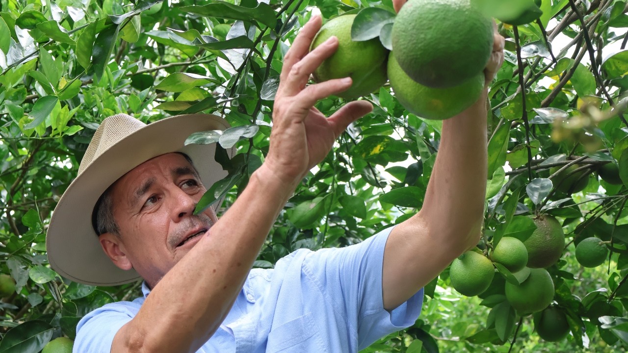 How BANHCAFE Strengthens Agricultural Finance and Rural Jobs in Honduras