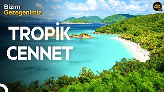 Karayipler: Gölgedeki Saklı Miras! | Doğanın Anatomisi | 4 . Bölüm Türkçe Dublaj