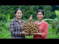 Han Harvests Longan Fruit And Helps Single Mother At An Abandoned House
