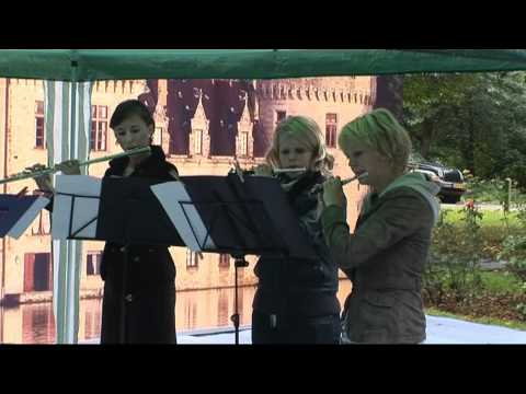 Samenvatting Genemusiment 2010.avi deel 1