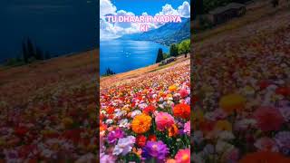 Download lagu 🎶 TU DHAAR H NADIA KI | EK PYAAR KA NAGMA H | Striking Cover by @Pawanmehrotra 🌊❤️✨ mp3