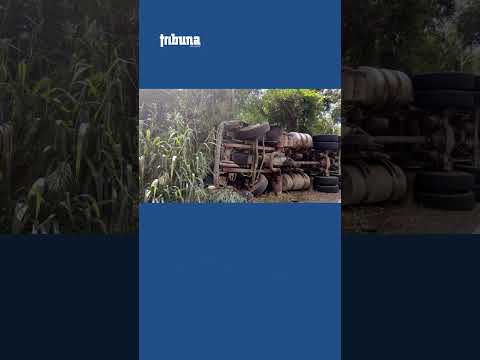 Carreta tomba na BR-262 em Martins Soares