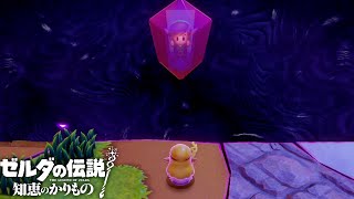 再会【ゼルダの伝説 知恵のかりもの】#15