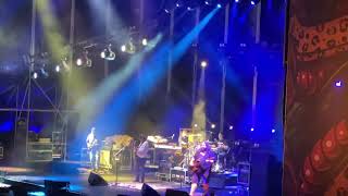 Widespread Panic You Should be Glad Jam PELP9 2020