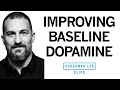Improve Your Baseline Dopamine For Motivation Drive Dr Andrew Huberman