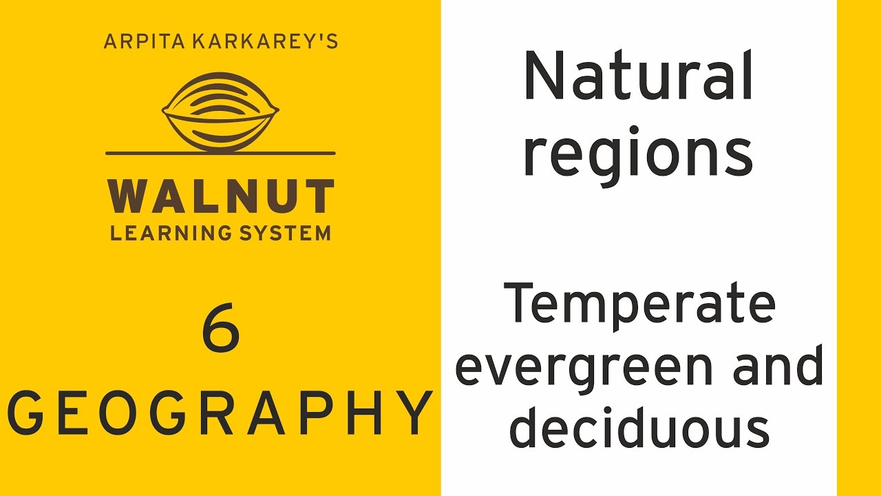 6 Geography - Natural regions - Temperate evergreen and deciduous