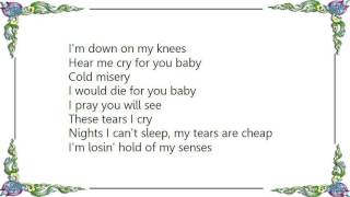 Bonnie Raitt - Goin' Wild for You Baby Lyrics