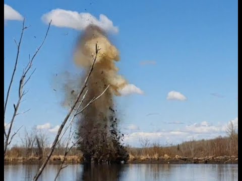 Blowing Beaver Dams with Tannerite
