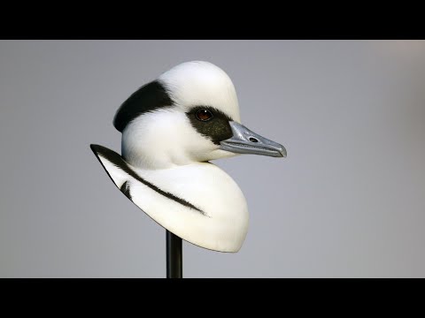 Carving And Painting A Smew