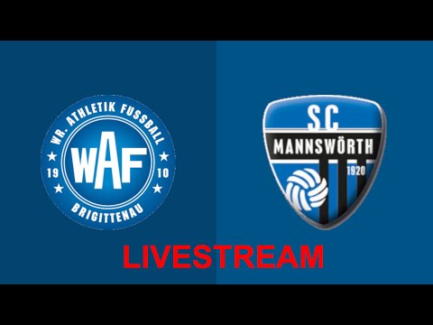 07.03.2019 | 10 30 | WIENER LIGA | #22 | WAF BRIGITTENAU - MANNSWÖRTH