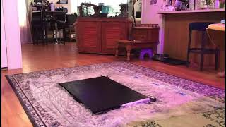 Painted Canvas Time lapse
