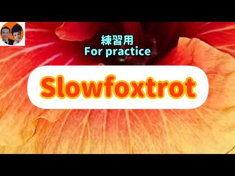 Slow Foxtrot Practice Dance Song Ballroom Dance