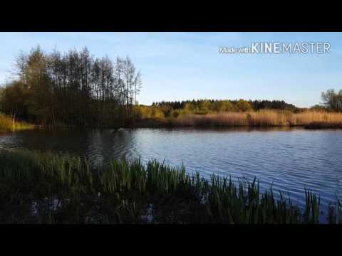 Trip No 55 Carp Fishing  (2016)