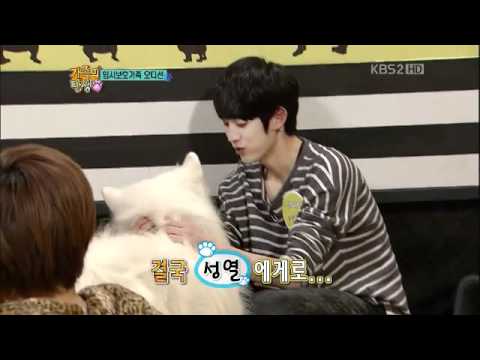 111112 Birth of a Family Infinite Cut