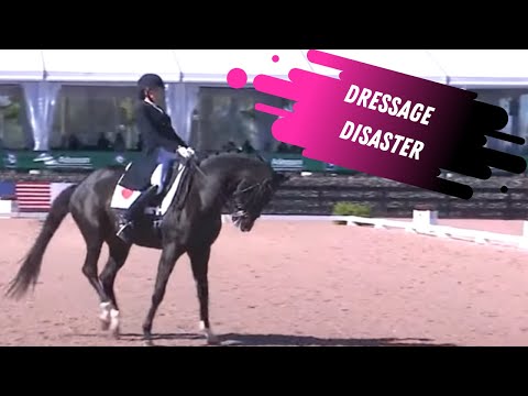 Dressage Disaster: Ashley Holzer Sets Valentine Up For Dressage Failure (Blog In Description)