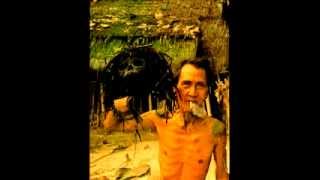 Autumn Carnival remix-test - Dandy Warhols (remix anton newcombe/f.lesure *berlin 2012)