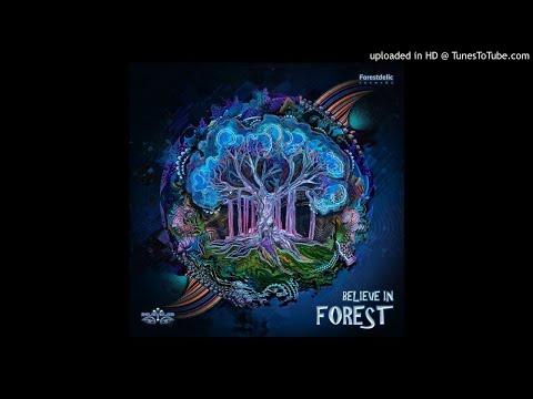 Kala & Shadow Shaman - Electric Joke