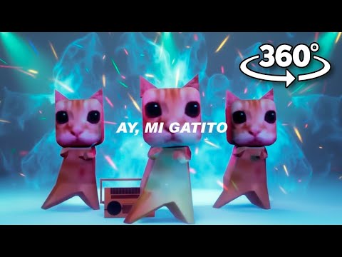 ay mi gatito miau miau tiktok | MONTAGEM MIAU (Letra) 360° VR