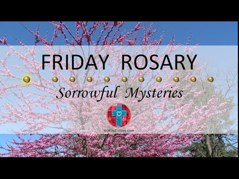 Friday Rosary • Sorrowful Mysteries of the Rosary 💜 May 17, 2024 VIRTUAL ROSARY - MEDITATION