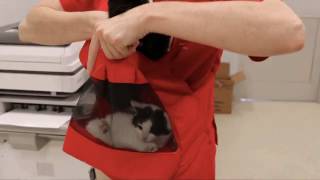 Animal Rescue League of Boston