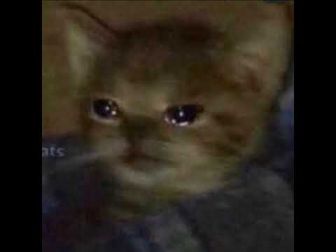 BANG - Lawd  Ito,  VEE