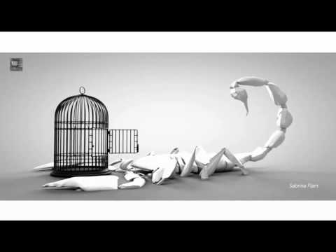 Animellaz -  Secret Trilogy  (Original Mix )